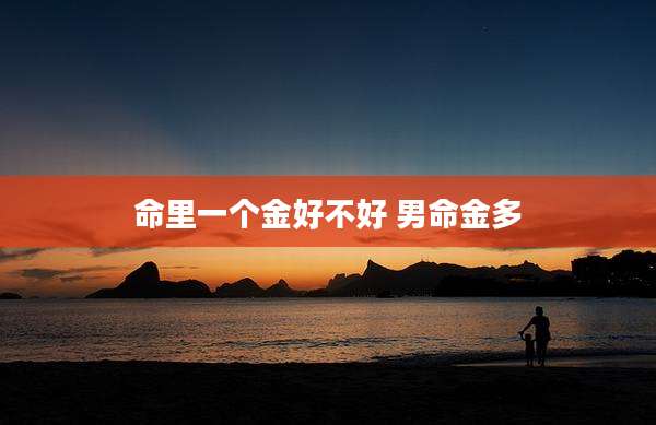命里一个金好不好 男命金多