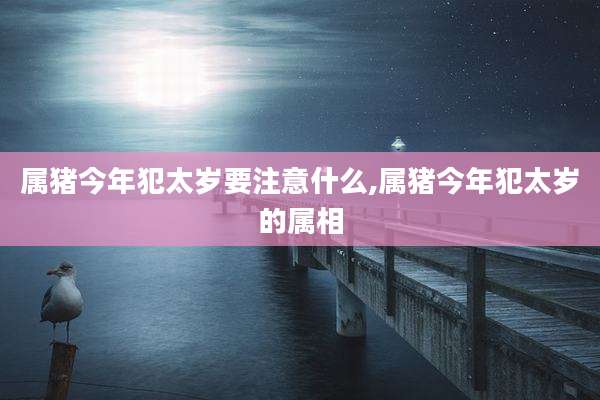 属猪今年犯太岁要注意什么,属猪今年犯太岁的属相