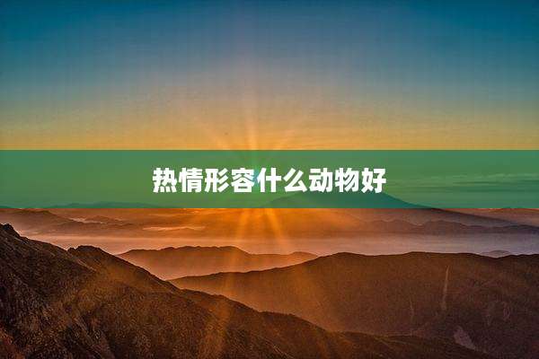 热情形容什么动物好