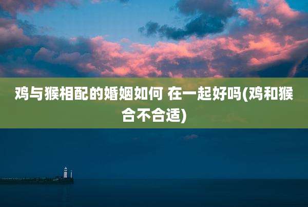 鸡与猴相配的婚姻如何 在一起好吗(鸡和猴合不合适)
