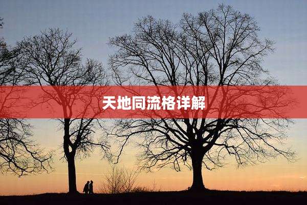天地同流格详解
