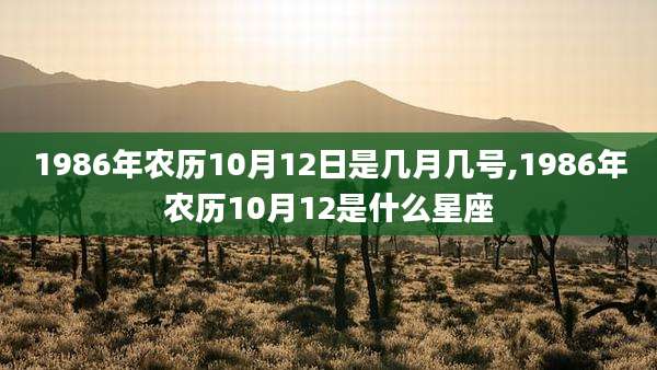 1986年农历10月12日是几月几号,1986年农历10月12是什么星座