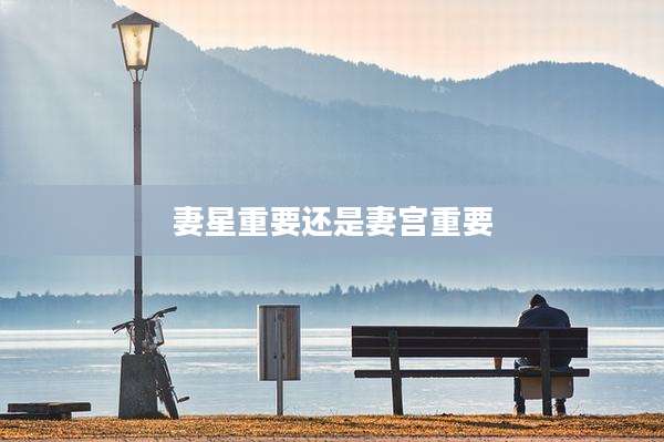 妻星重要还是妻宫重要