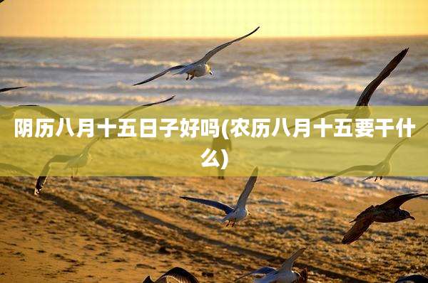 阴历八月十五日子好吗(农历八月十五要干什么)