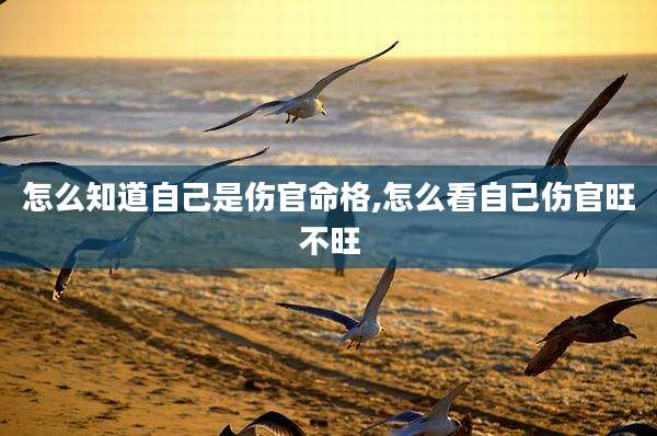 怎么知道自己是伤官命格,怎么看自己伤官旺不旺