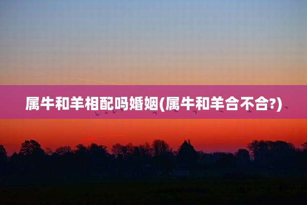 属牛和羊相配吗婚姻(属牛和羊合不合?)