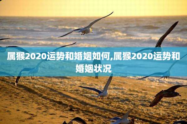 属猴2020运势和婚姻如何,属猴2020运势和婚姻状况
