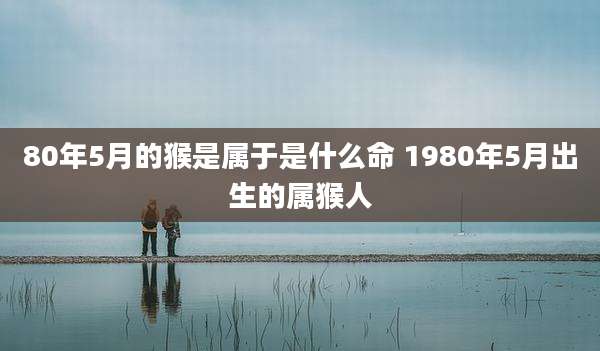 80年5月的猴是属于是什么命 1980年5月出生的属猴人