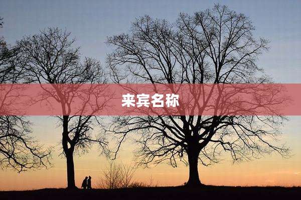 来宾名称