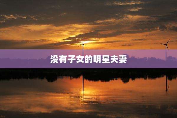 没有子女的明星夫妻