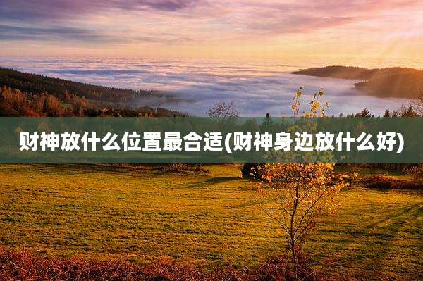 财神放什么位置最合适(财神身边放什么好)