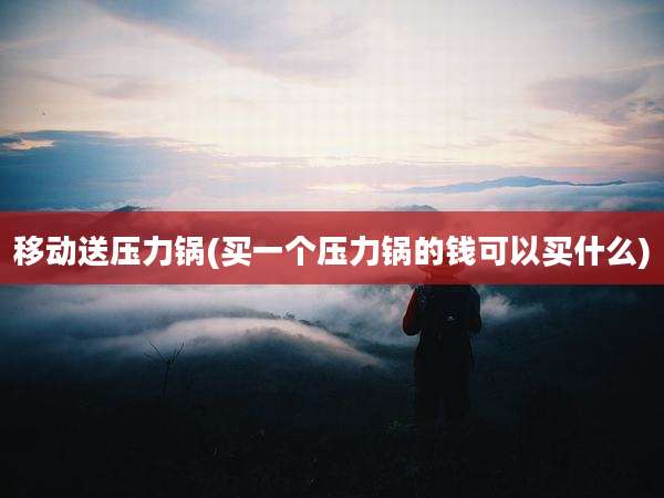 移动送压力锅(买一个压力锅的钱可以买什么)