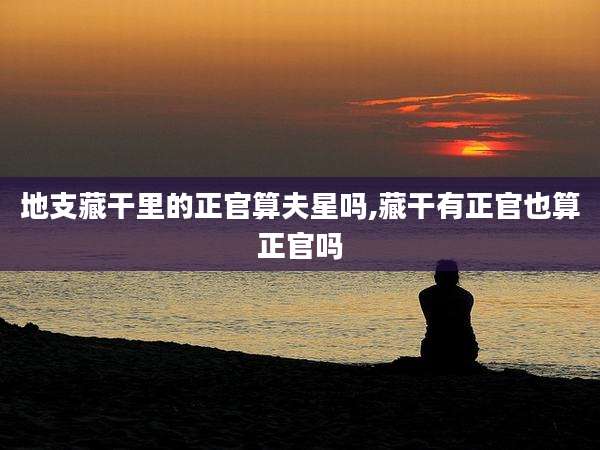 地支藏干里的正官算夫星吗,藏干有正官也算正官吗