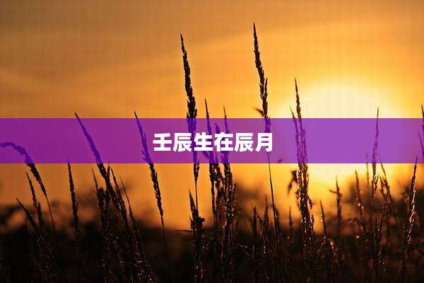 壬辰生在辰月