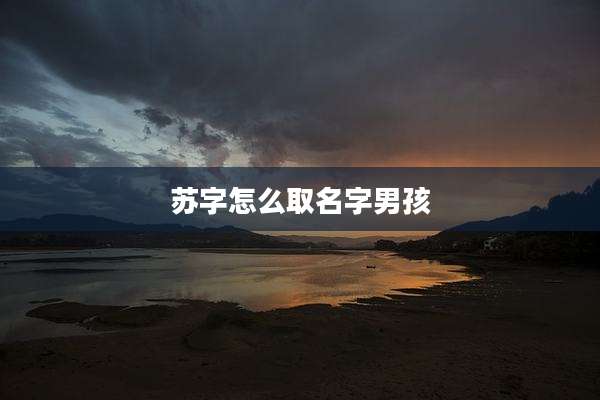 苏字怎么取名字男孩