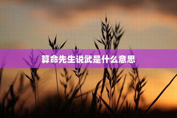 算命先生说武是什么意思