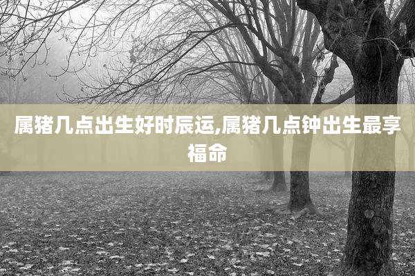 属猪几点出生好时辰运,属猪几点钟出生最享福命