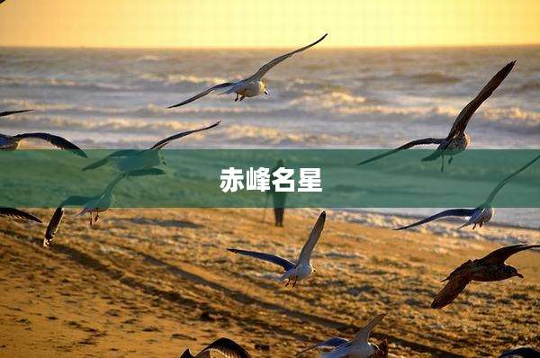 赤峰名星