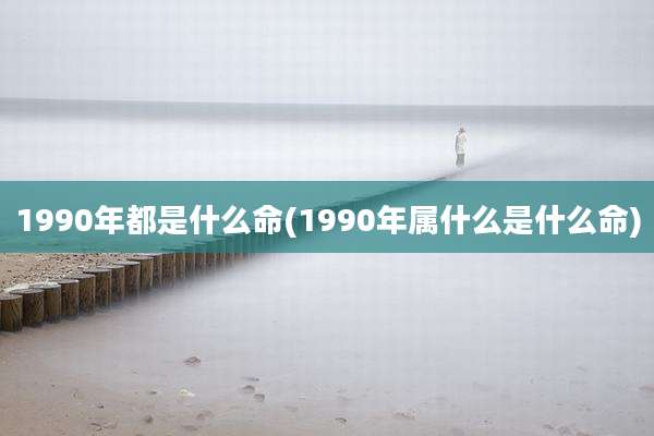 1990年都是什么命(1990年属什么是什么命)
