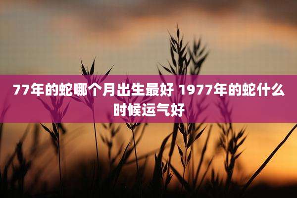 77年的蛇哪个月出生最好 1977年的蛇什么时候运气好