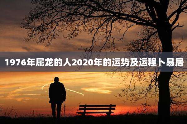 1976年属龙的人2020年的运势及运程卜易居