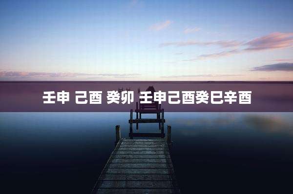 壬申 己酉 癸卯 壬申己酉癸巳辛酉
