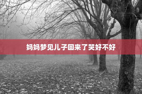 妈妈梦见儿子回来了哭好不好