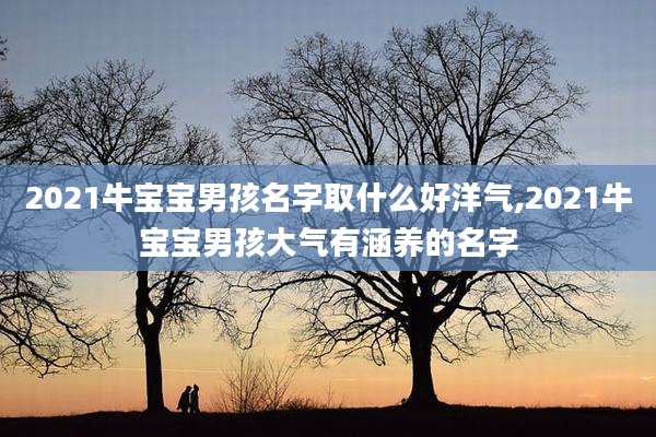 2021牛宝宝男孩名字取什么好洋气,2021牛宝宝男孩大气有涵养的名字