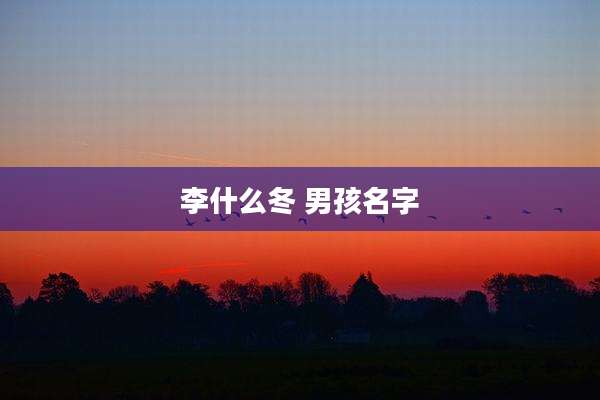 李什么冬 男孩名字