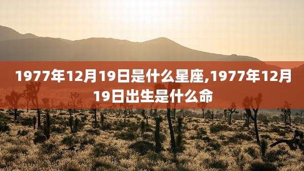 1977年12月19日是什么星座,1977年12月19日出生是什么命