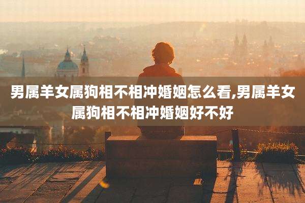男属羊女属狗相不相冲婚姻怎么看,男属羊女属狗相不相冲婚姻好不好