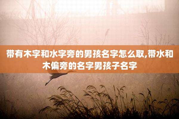 带有木字和水字旁的男孩名字怎么取,带水和木偏旁的名字男孩子名字