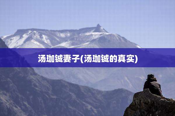 汤珈铖妻子(汤珈铖的真实)