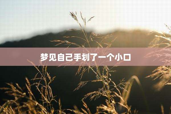 梦见自己手划了一个小口