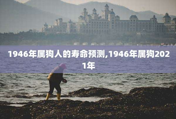 1946年属狗人的寿命预测,1946年属狗2021年