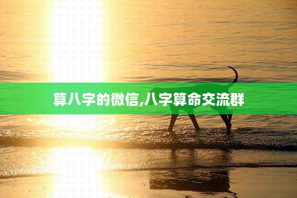 算八字的微信,八字算命交流群