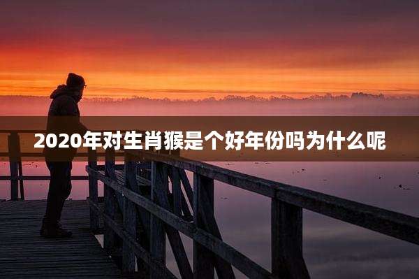 2020年对生肖猴是个好年份吗为什么呢