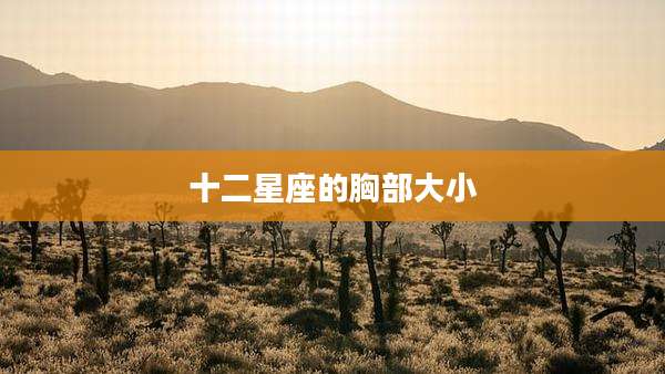 十二星座的胸部大小