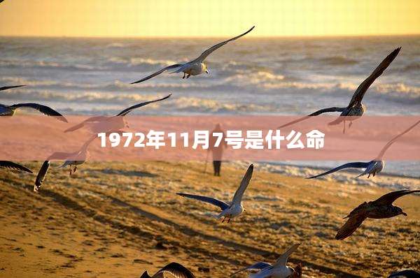 1972年11月7号是什么命