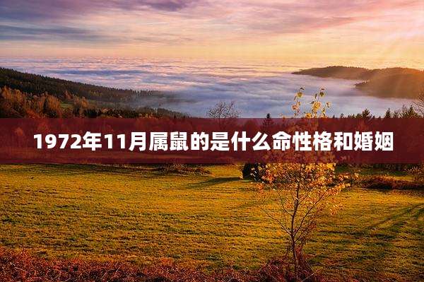 1972年11月属鼠的是什么命性格和婚姻
