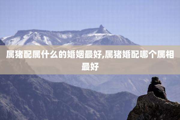 属猪配属什么的婚姻最好,属猪婚配哪个属相最好