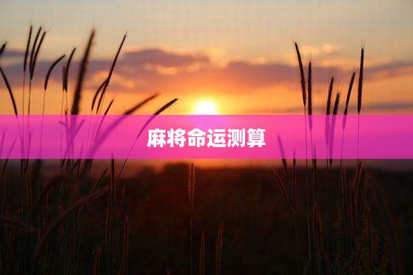 麻将命运测算