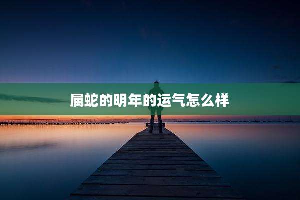 属蛇的明年的运气怎么样