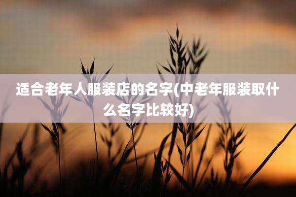 适合老年人服装店的名字(中老年服装取什么名字比较好)