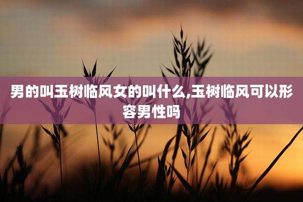 男的叫玉树临风女的叫什么,玉树临风可以形容男性吗
