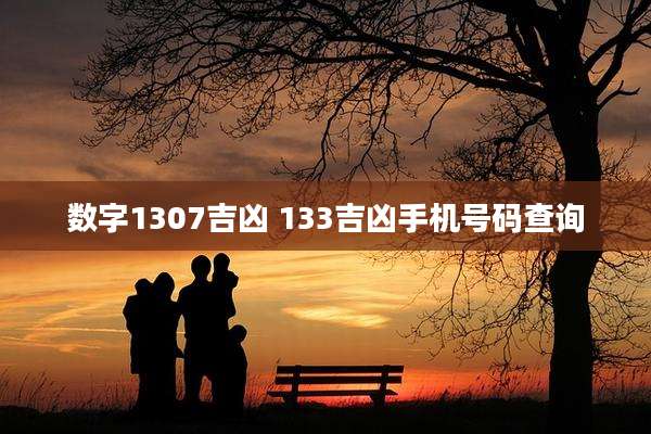 数字1307吉凶 133吉凶手机号码查询