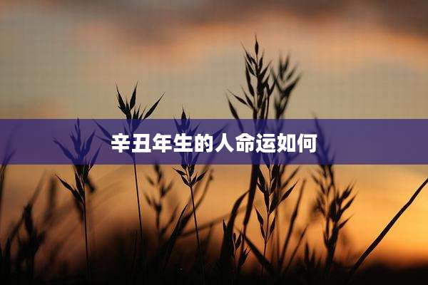辛丑年生的人命运如何