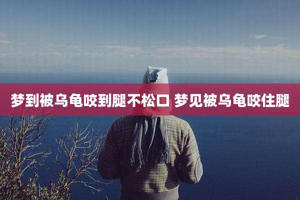 梦到被乌龟咬到腿不松口 梦见被乌龟咬住腿