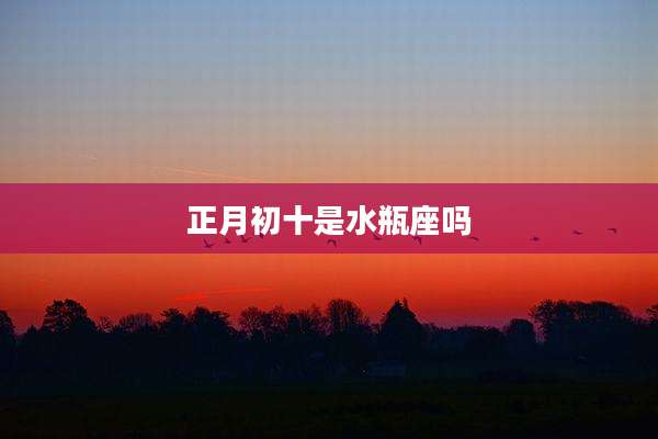 正月初十是水瓶座吗
