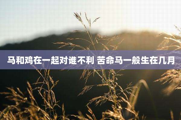 马和鸡在一起对谁不利 苦命马一般生在几月